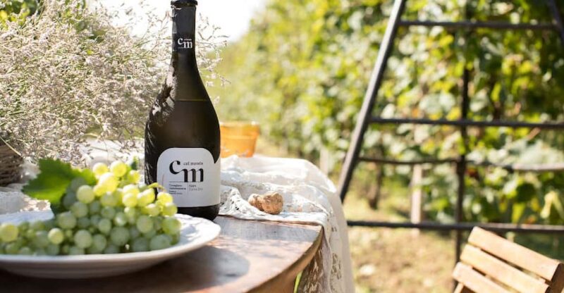 Wine Tasting: the flavors of the Prosecco Hills - Why This Tour Excels: Focus on Biodiversity and Quality