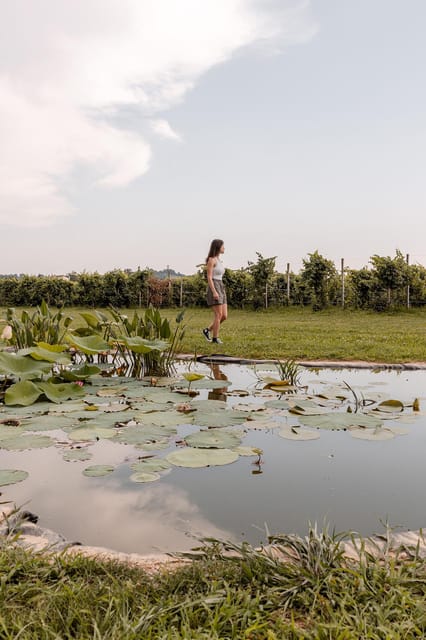 Wine Tasting: the flavors of the Prosecco Hills - Final Thoughts on the Cal Monda Prosecco Tour