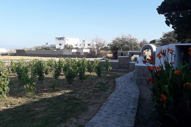 Wine Tasting Tour at a traditional farm in Mykonos - Expert Guides and Engaging Explanations