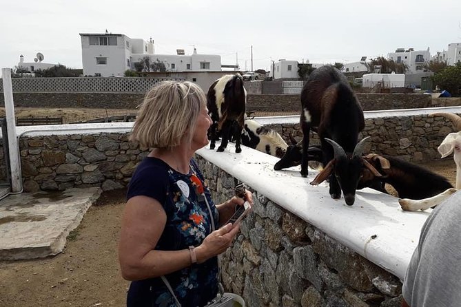 Wine Tasting Tour at a traditional farm in Mykonos - Local Snacks and Generous Portions