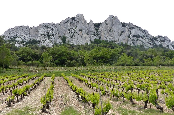 Wine Tasting Tour at Châteauneuf du Pape - Visiting Top Wineries with ProConnections
