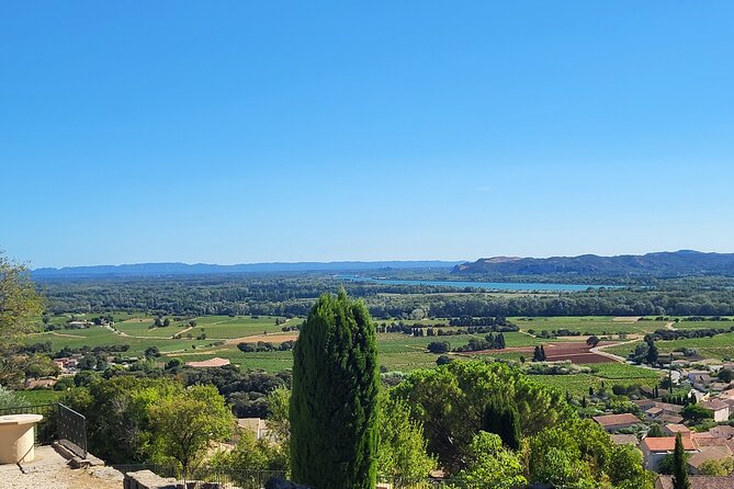 Wine Tasting Tour at Châteauneuf du Pape - Learning to Taste Wine Like a Professional
