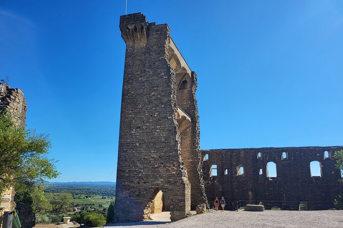 Wine Tasting Tour at Châteauneuf du Pape - What’s Not Included and Tips for Guests