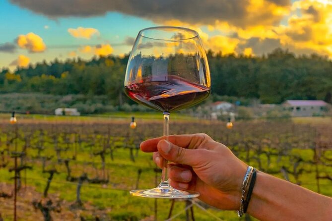 Wine Tasting Tour at Two Wineries in Urla Turkey - Explore Urlas Boutique Wineries on a Guided Wine Tasting Tour