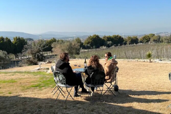 Wine Tasting Tour at Two Wineries in Urla Turkey - Flexibility and Personalization