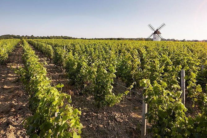 Wine tasting tour in Loire Valley with castle visits and lunch - The Experience of Expert Guides and Engaging Commentary