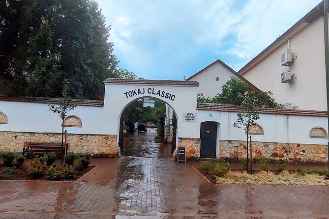 Wine Tasting Tour in Tokaj Wine Region Slovakia. With transport - What’s Included and What to Consider