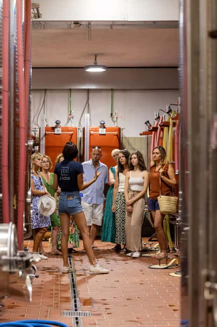 Wine tasting tour - Le Pradet - Exploring the Estate in Provence: Organic and Biodynamic Practices