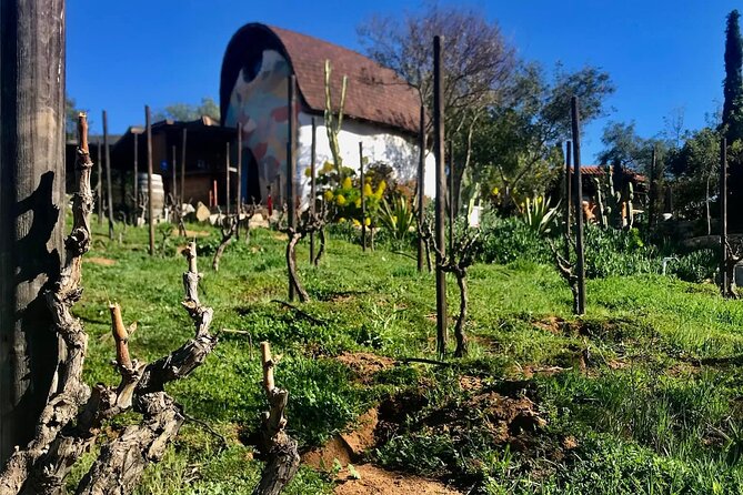 Wine Tasting Tour ONLY for Cruise Ship Visitors. ALL INCLUSIVE! - Starting Point at the Centro Cultural Riviera in Ensenada