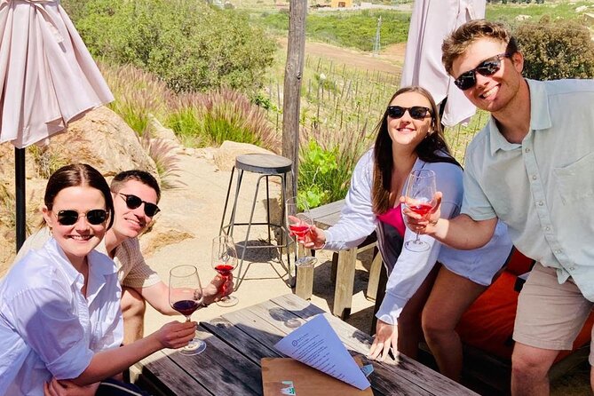 Wine Tasting Tour ONLY for Cruise Ship Visitors. ALL INCLUSIVE! - Craft Beer at Cervecería Transpeninsular