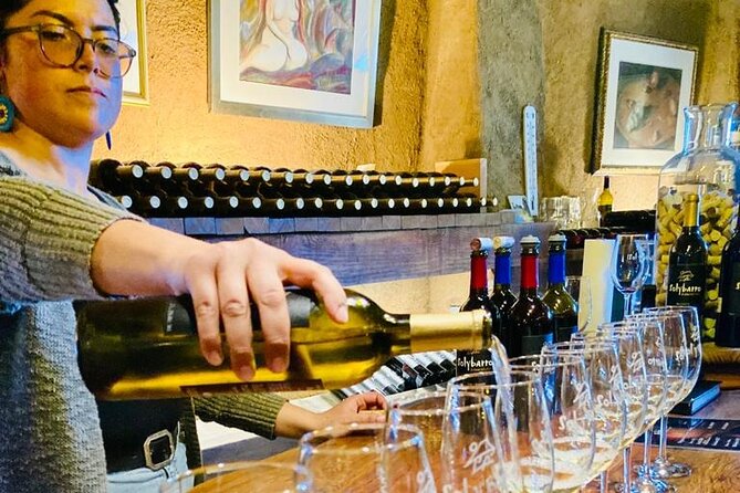 Wine Tasting Tour ONLY for Cruise Ship Visitors. ALL INCLUSIVE! - Included Food, Beverages, and Practical Details