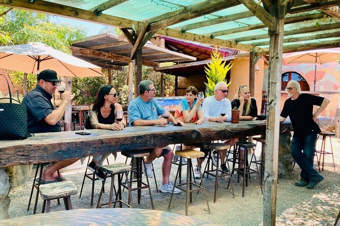 Wine Tasting Tour ONLY for Cruise Ship Visitors. ALL INCLUSIVE! - Flexibility and Cancellation Policy