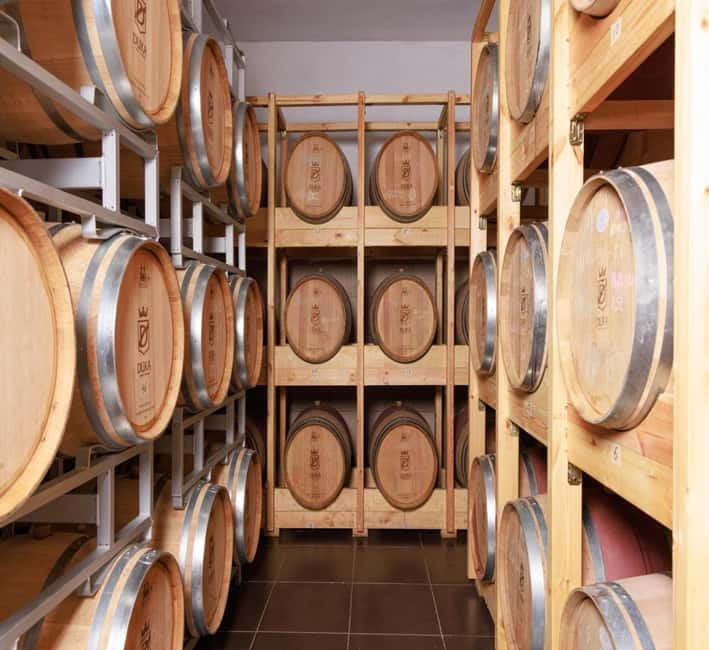 Wine tasting tour, Optional wine yard tour and kayak rides - Key Points