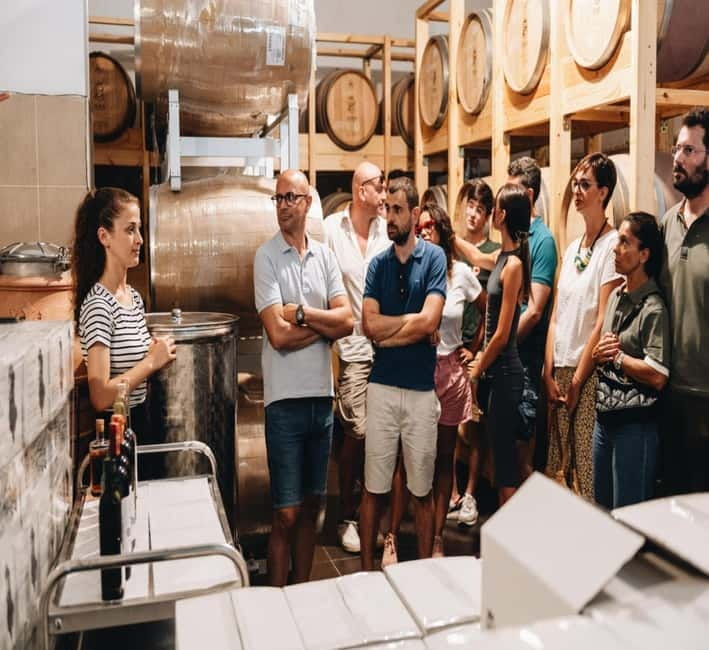 Wine tasting tour, Optional wine yard tour and kayak rides - Inside the Winery: Winemaking Processes Explored