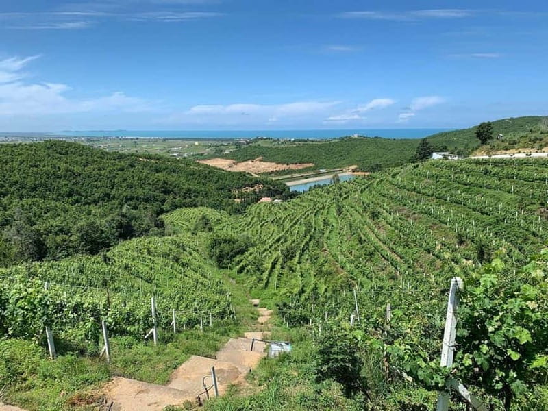 Wine tasting tour, Optional wine yard tour and kayak rides - Add an Extra Adventure: Kayak Rides on the River