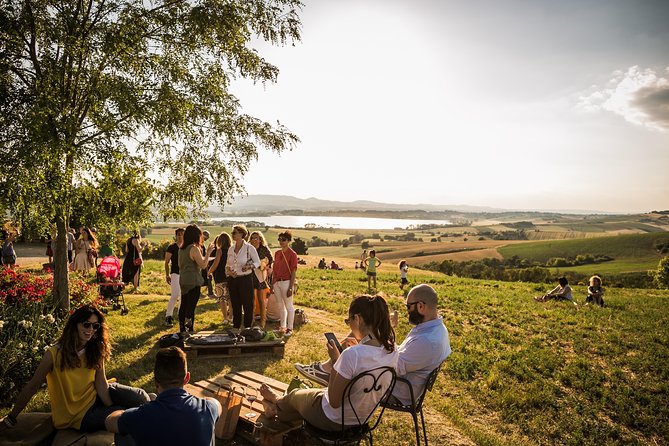 Wine Tasting & Tour Premium - The Experiences Atmosphere and Setting