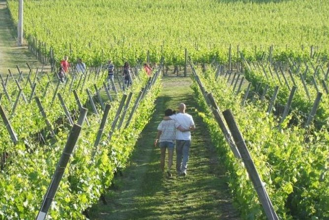 Wine Tasting & Tour Premium - Flexibility and Cancellation Policy