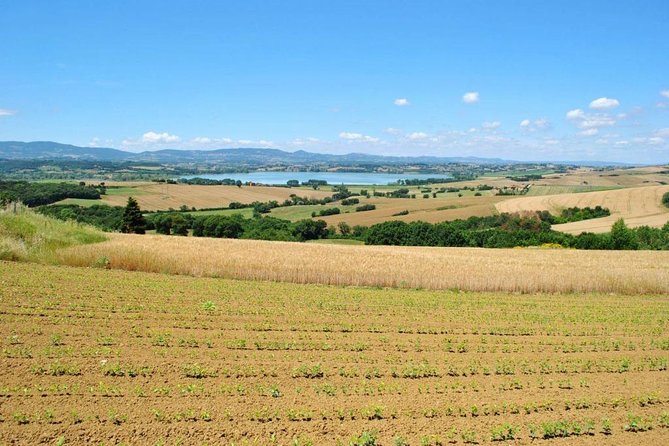Wine Tasting & Tour Premium - Comparing Similar Umbrian Experiences