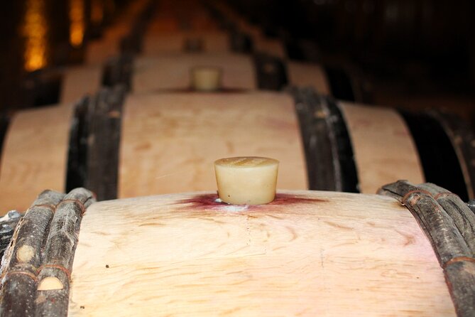 "Wine tasting tours in Burgundy" - Key Points