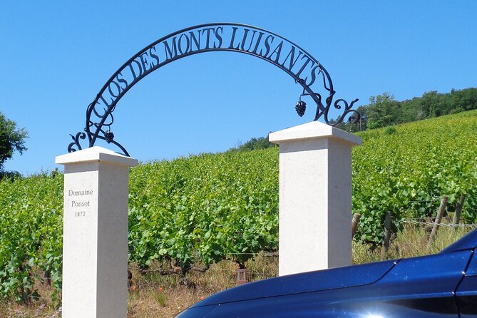 "Wine tasting tours in Burgundy" - Tasting at Aloxe-Corton and Its Wines