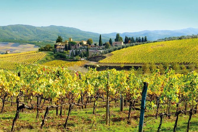Wine Tasting & Tuscany Countryside, San Gimignano & Volterra - Scenic Drive Through Tuscany’s Countryside