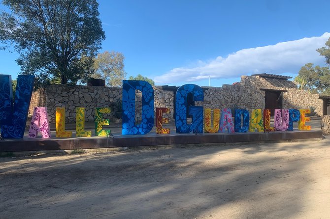 Wine tasting Valle de Guadalupe & Casa Frida - Discover the Wine Tasting Tour in Valle de Guadalupe & Casa Frida