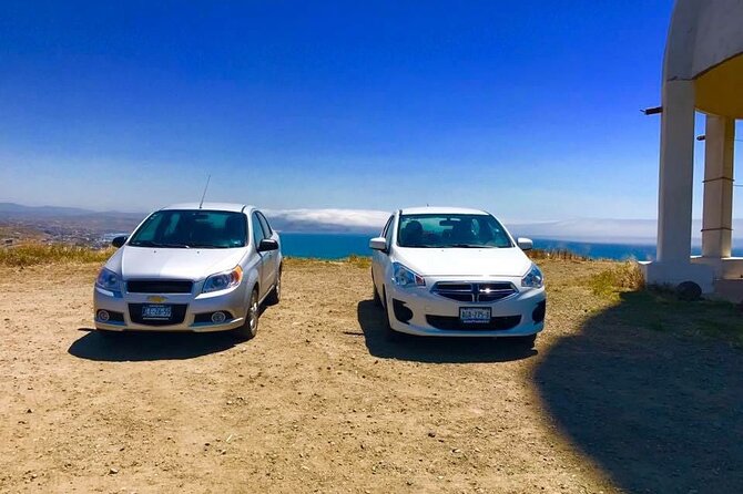 Wine tasting Valle de Guadalupe & Casa Frida - Decantos Vinicola: Complimentary Bottle and Vineyard Views