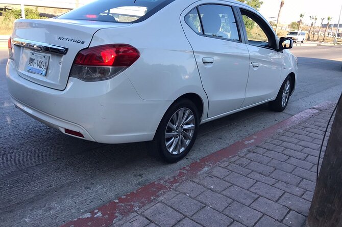 Wine tasting Valle de Guadalupe & Casa Frida - Additional Details: Not Included and Practical Tips