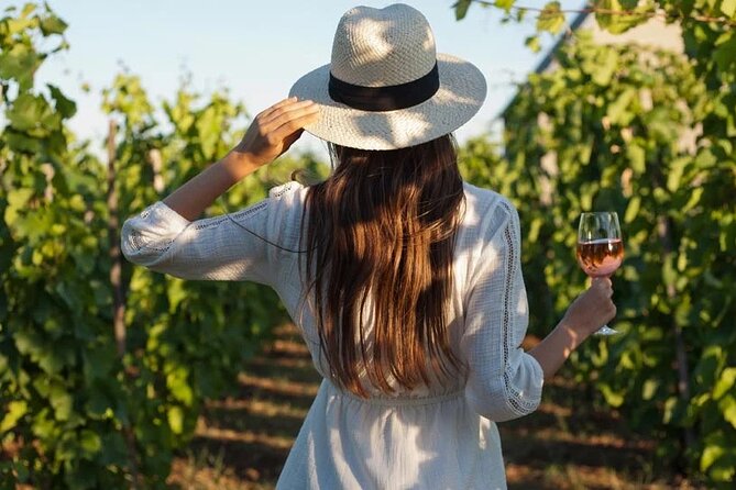 Wine Tasting & Vineyards Escape near Tirana - Explore Albanian Wines on a Small-Group Tour from Tirana