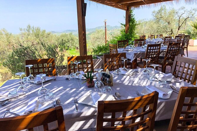 Wine Tasting & Vineyards Escape near Tirana - Tasting Four Albanian Wines Paired with Local Snacks