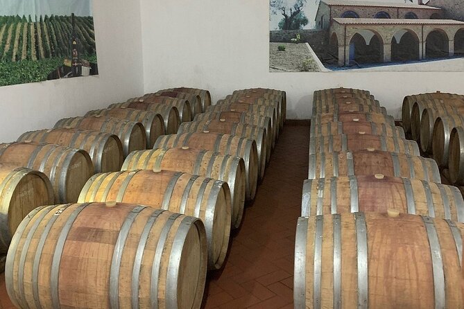 Wine Tasting & Vineyards Escape near Tirana - Leisurely Stroll and Stunning Views in Tirana County