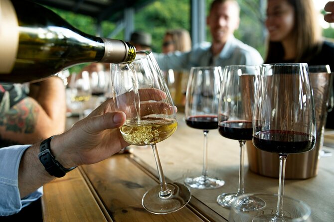 Wine Tasting & Vineyards Escape near Tirana - Practical Logistics and Group Comfort