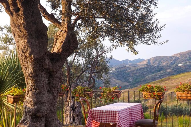 Wine Tasting & Vineyards Escape near Tirana - The Experience of a Local Winery in Albania