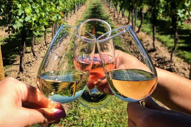 Wine Tasting & Vineyards Escape near Tirana - Price and Value for Money