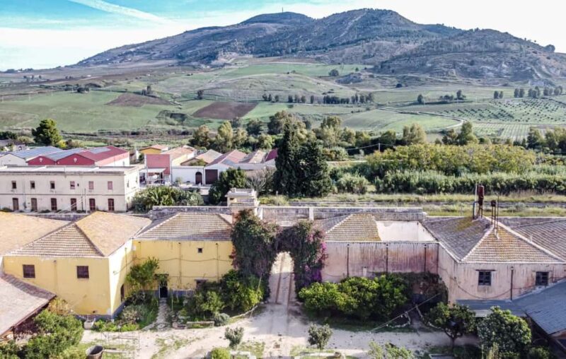 Wine Tasting whit Painting Lesson in Baglio Florio - Logistics: Meeting Point, Accessibility, and Booking Flexibility