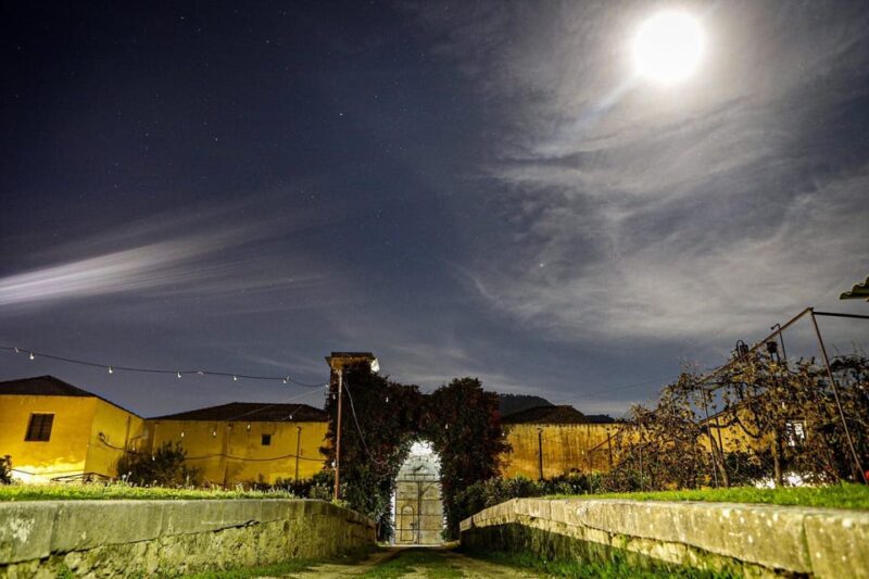 Wine Tasting whit Painting Lesson in Baglio Florio - Why This Tour Combines Tradition, Taste, and Creativity