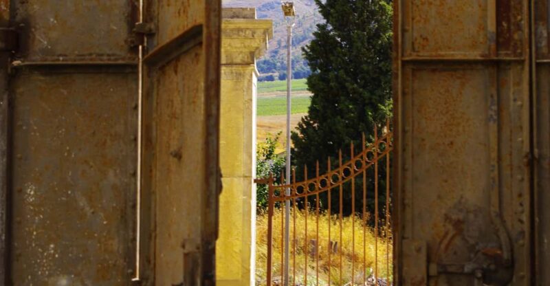 Wine Tasting whit Painting Lesson in Baglio Florio - Who Will Appreciate This Experience the Most