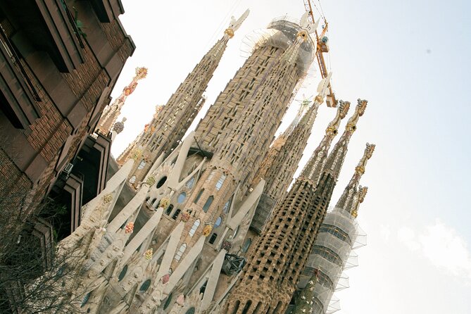 Wine tasting with a view of the Sagrada Familia - The View: Architectural Wonder as a Backdrop