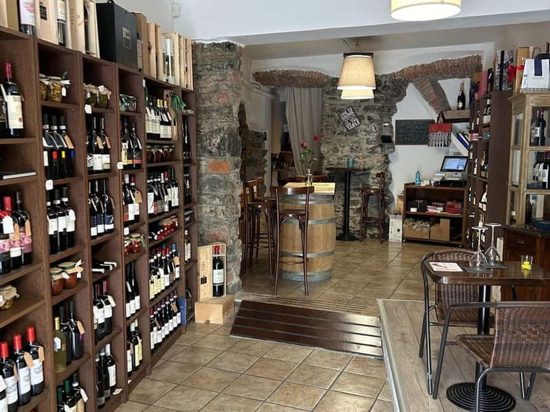 Wine Tasting with Food Pairing at Lake Como - Accessibility and Practical Details