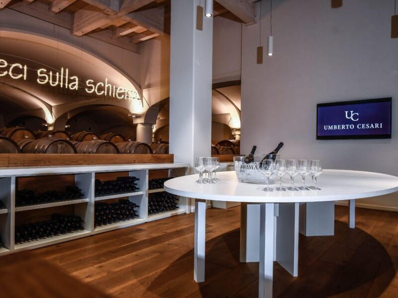 Wine Tasting with Food Pairing near Bologna - Practical Details and Logistics