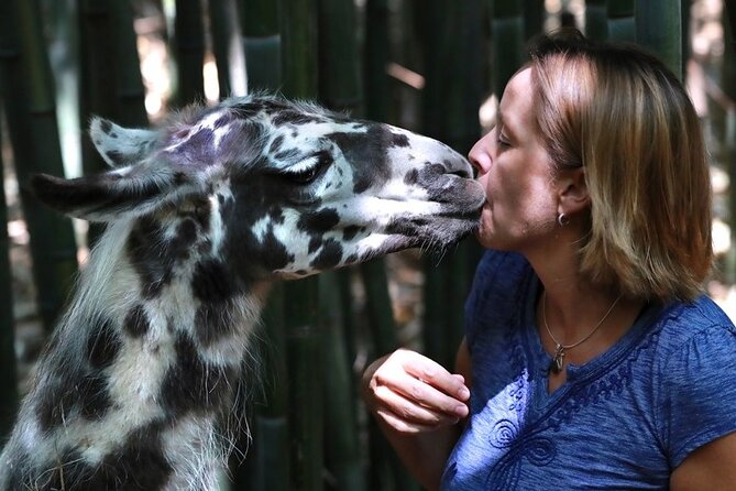 Wine Tasting with Llamas, Alpacas and Guanacos - Location and Meeting Details at Atlantas City Farm