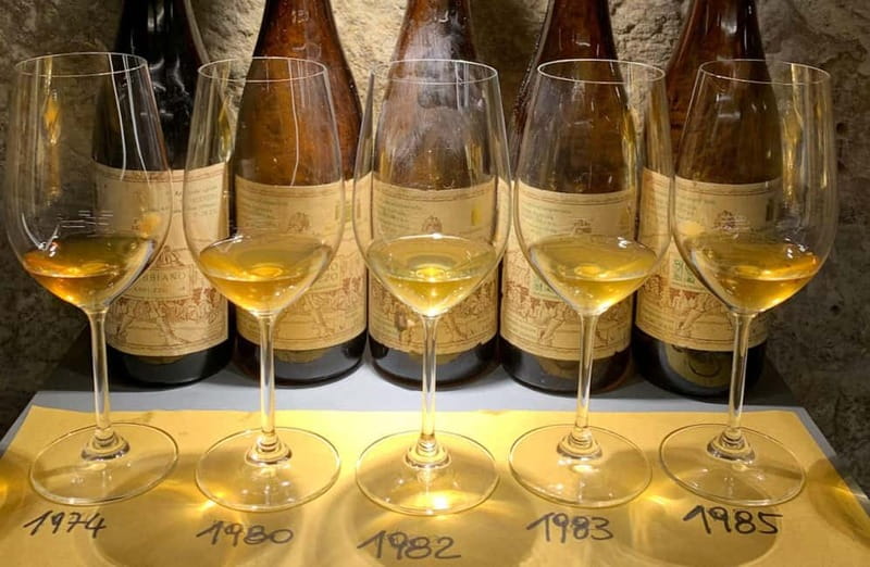 Wine Tasting with Local Bites in Pisa near the Tower - Discover a Unique Wine Tasting Near the Leaning Tower of Pisa