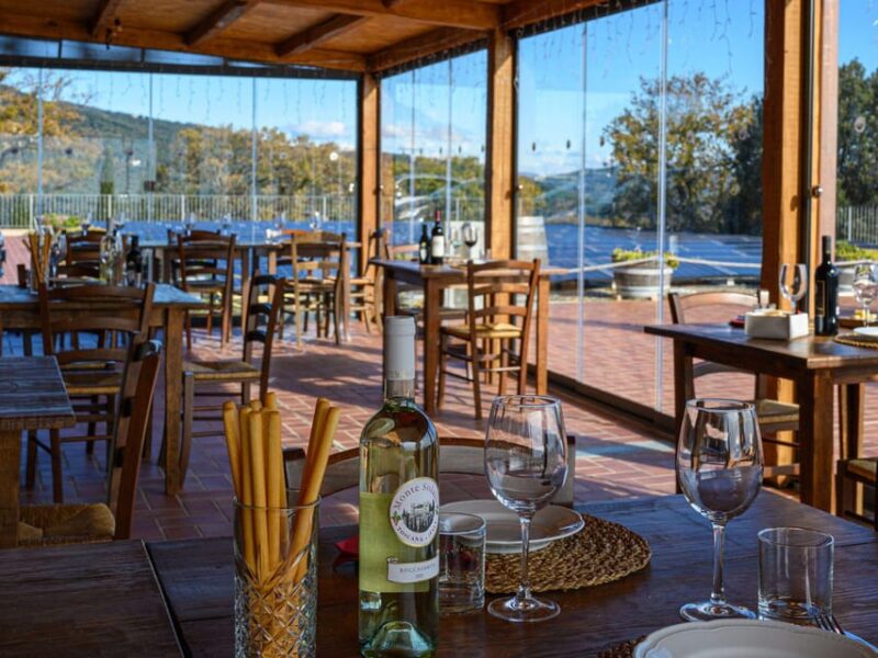 Wine Tasting with Local Food Pairing near Livorno - Discover the Charm of Tuscany with a Wine and Food Pairing Near Livorno