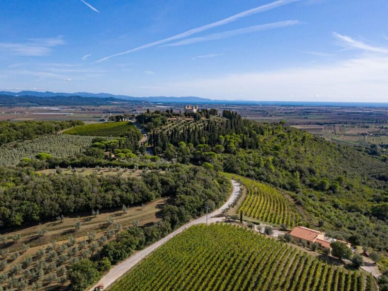 Wine Tasting with Local Food Pairing near Livorno - Key Points