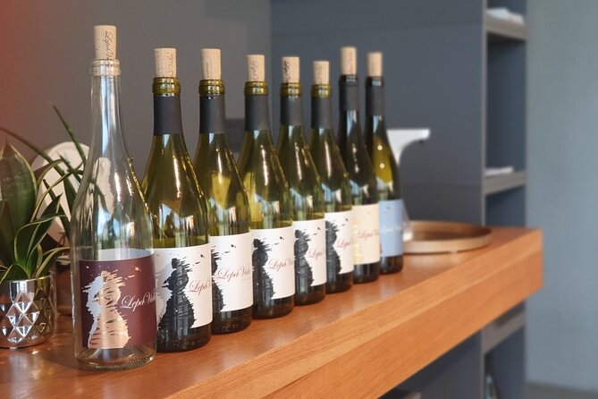 Wine Tasting with Pairing Snacks in Vipava Valley - Key Points