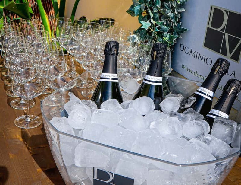 Wine Tasting with Professional Sommelier in centre Valencia - Who Will Appreciate This Tour Most