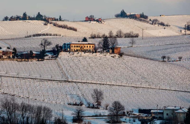 Wine Tasting with Snacks in Neive, the heart of Langhe - Frequently Asked Questions