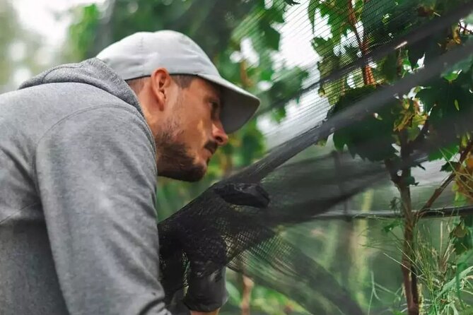 Wine Tasting with the winemaker in Villa Santa Eurosia - Discover the Charm of Villa Santa Eurosia on Vignole Island