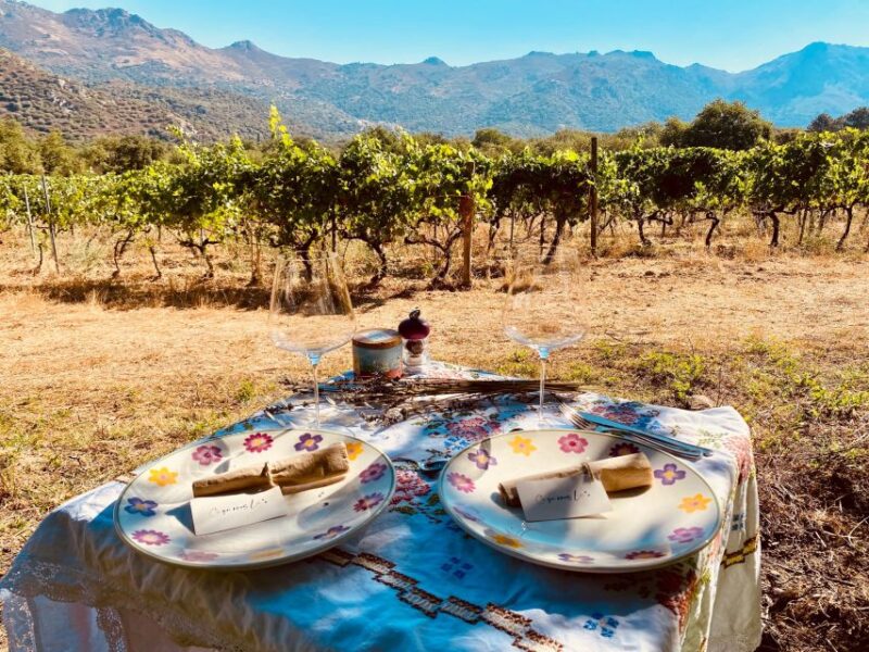 Wine tastings around Calvi & Île-Rousse - Flexibility and Booking Options