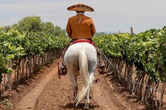 Wine Tour and Horseback Ride through the Mountains of Guanajuato - Flexibility and Cancellation Policy